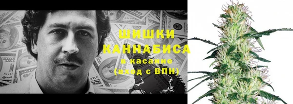 PSILOCYBIN Усинск