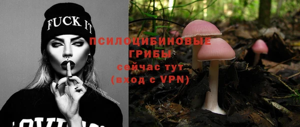 PSILOCYBIN Усинск